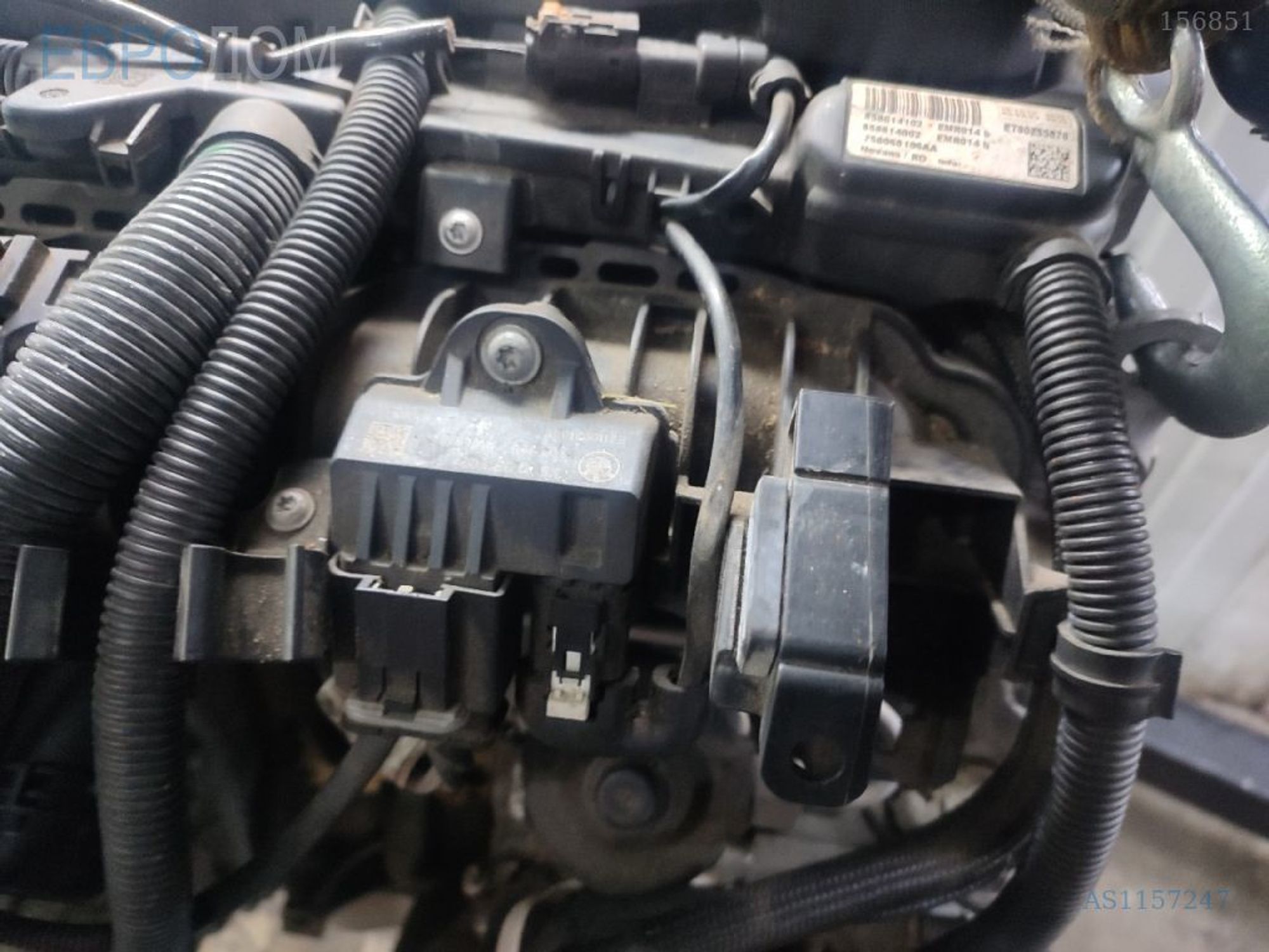https://gcs.partsauto.market/rn-stockpro.appspot.com/thmbs/3237d7da8dc2136f56140620af6d0874/5f3f32fa48df9c10f81640fe6c6e209f/2f80d6da02833846f223a98b0584e94a.jpg