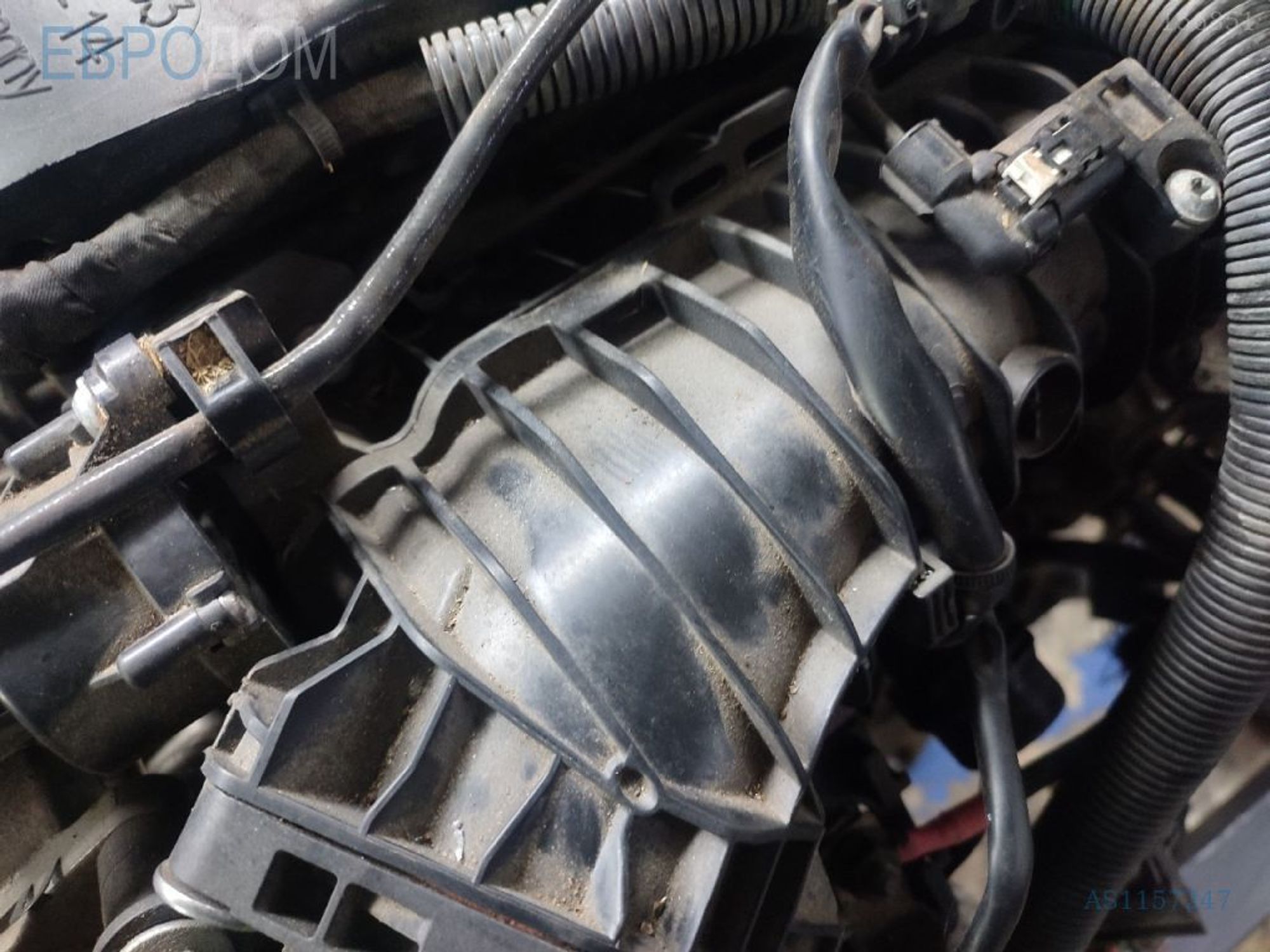 https://gcs.partsauto.market/rn-stockpro.appspot.com/thmbs/3237d7da8dc2136f56140620af6d0874/5f3f32fa48df9c10f81640fe6c6e209f/af9302202ae4fa931c6d93ec6db128e9.jpg