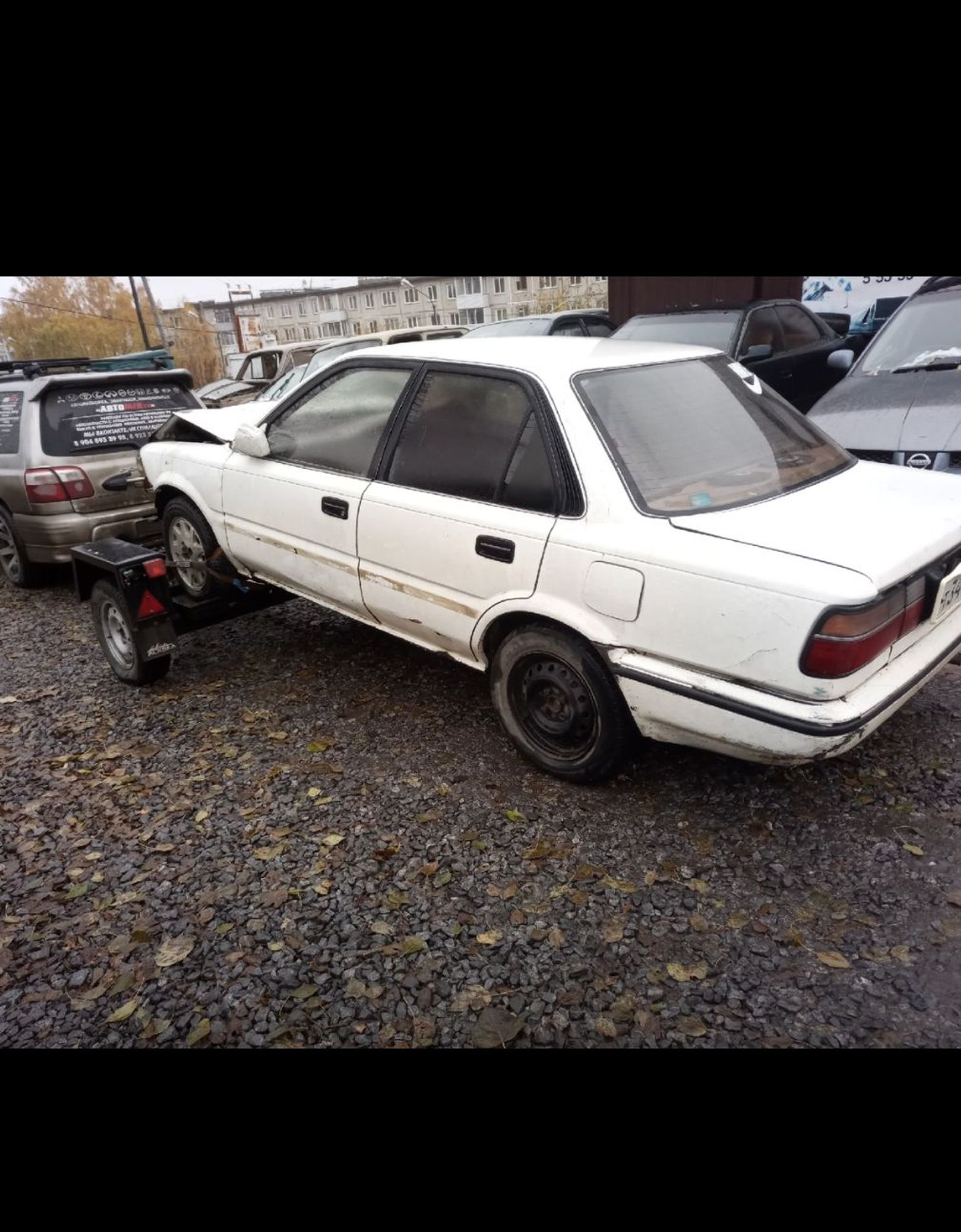 Toyota Corolla VI (1987—1993) 1991