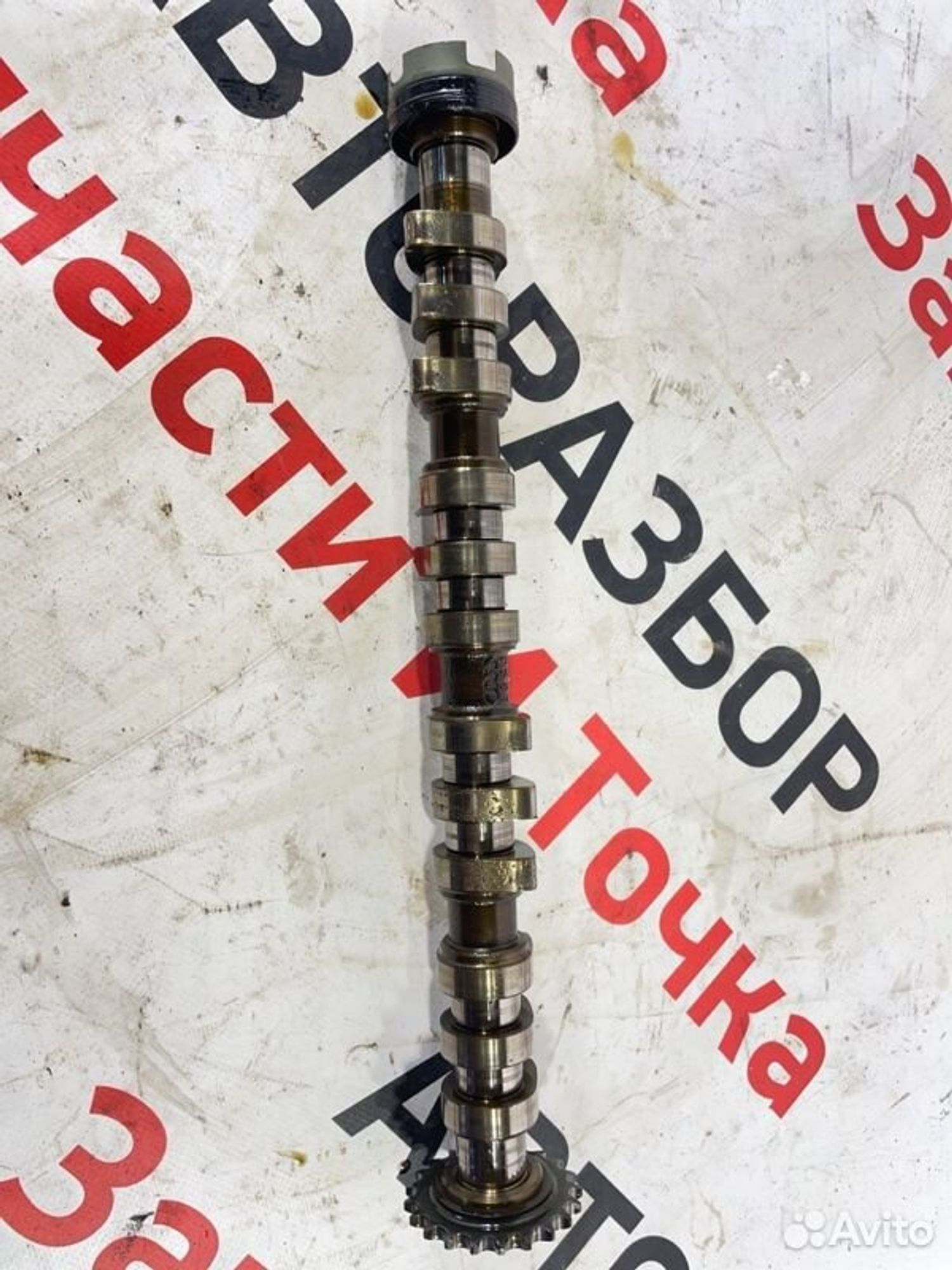 https://gcs.partsauto.market/rn-stockpro.appspot.com/thmbs/afb38d96ab8c9795ecac00e406b21163/40ba86fd96dbd973ee562a6e624eac11/dd38936b5b5c5760d82ff29a647c603a.jpg
