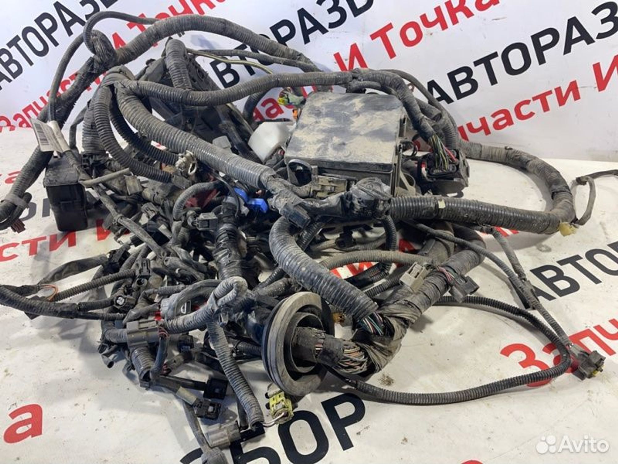 https://gcs.partsauto.market/rn-stockpro.appspot.com/thmbs/afb38d96ab8c9795ecac00e406b21163/53b68efe815051410e7dd275eacdbe35/54d655d564af627c878758d7aa10ba5f.jpg