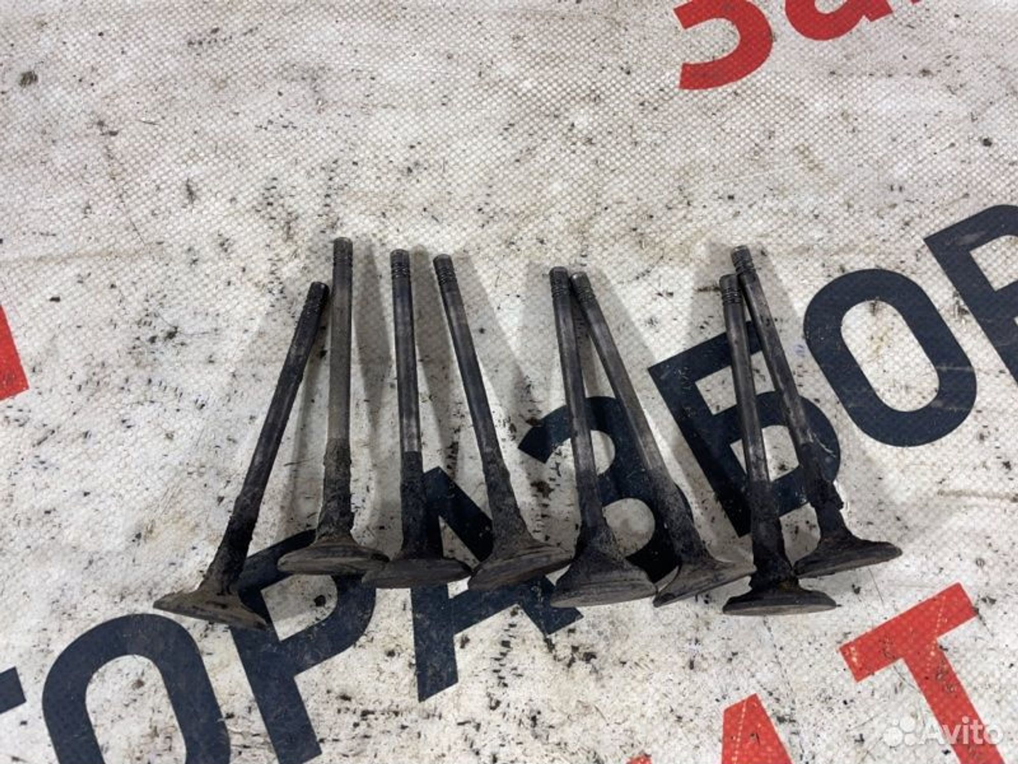 https://gcs.partsauto.market/rn-stockpro.appspot.com/thmbs/afb38d96ab8c9795ecac00e406b21163/59454c30ab59baeacc3b0e1ef39b00c5/3a7f2f036ab3b3b086e318f8f7e50d26.jpg