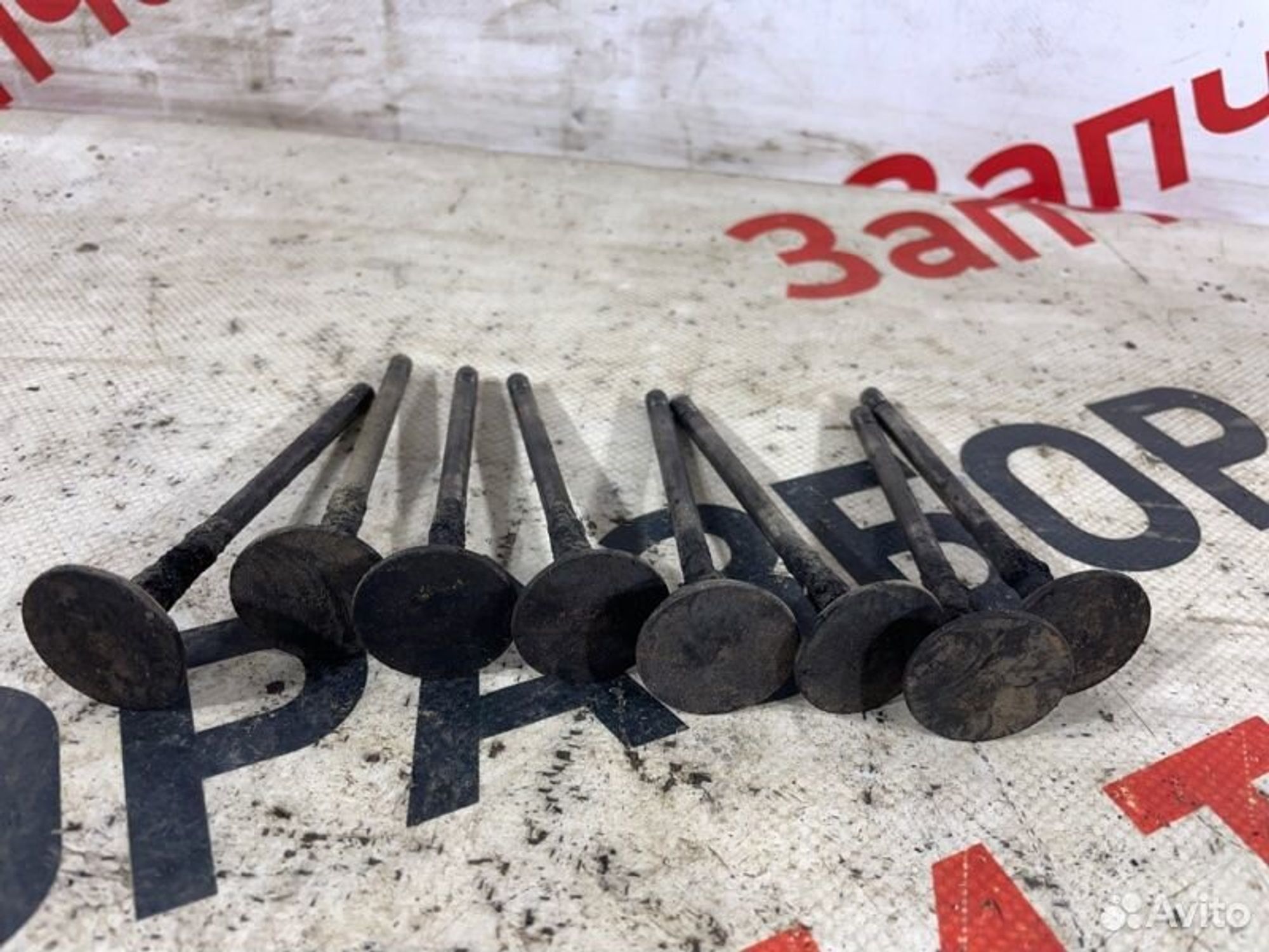 https://gcs.partsauto.market/rn-stockpro.appspot.com/thmbs/afb38d96ab8c9795ecac00e406b21163/59454c30ab59baeacc3b0e1ef39b00c5/69eb89c2ca0e497c3650d7aad0180eb5.jpg