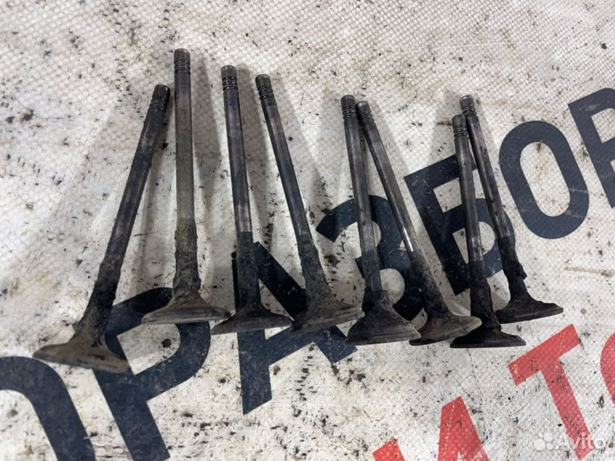 https://gcs.partsauto.market/rn-stockpro.appspot.com/thmbs/afb38d96ab8c9795ecac00e406b21163/59454c30ab59baeacc3b0e1ef39b00c5/6ab64b14b01e19217b0afc491a1c4db5.jpg