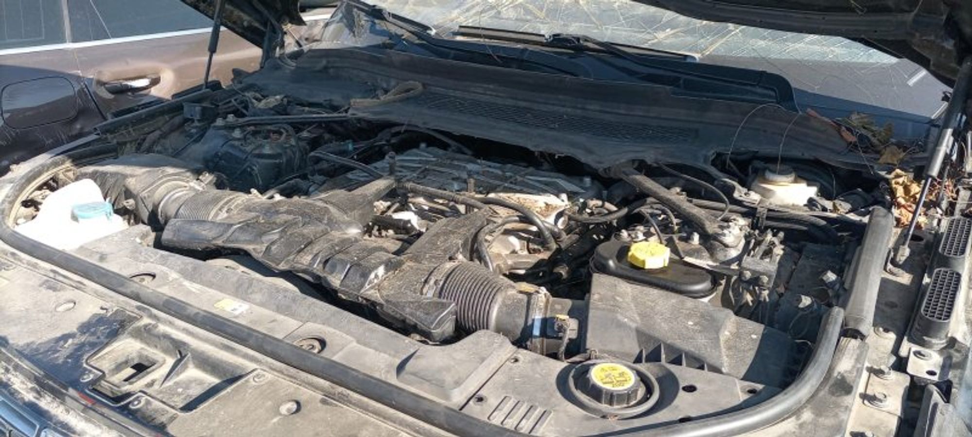 https://gcs.partsauto.market/rn-stockpro.appspot.com/thmbs/afb38d96ab8c9795ecac00e406b21163/659bf6328d5e245f3a80c6e7f1906ed1/9deb7be696e9eb68f8f8e0193329ee12.jpg