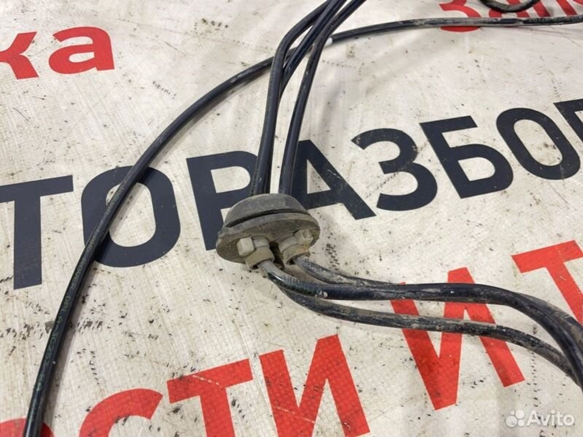 https://gcs.partsauto.market/rn-stockpro.appspot.com/thmbs/afb38d96ab8c9795ecac00e406b21163/7b1f249cabf0b36bade1697abc09b449/0203401344efa7d878d77e716e8fc06d.jpg