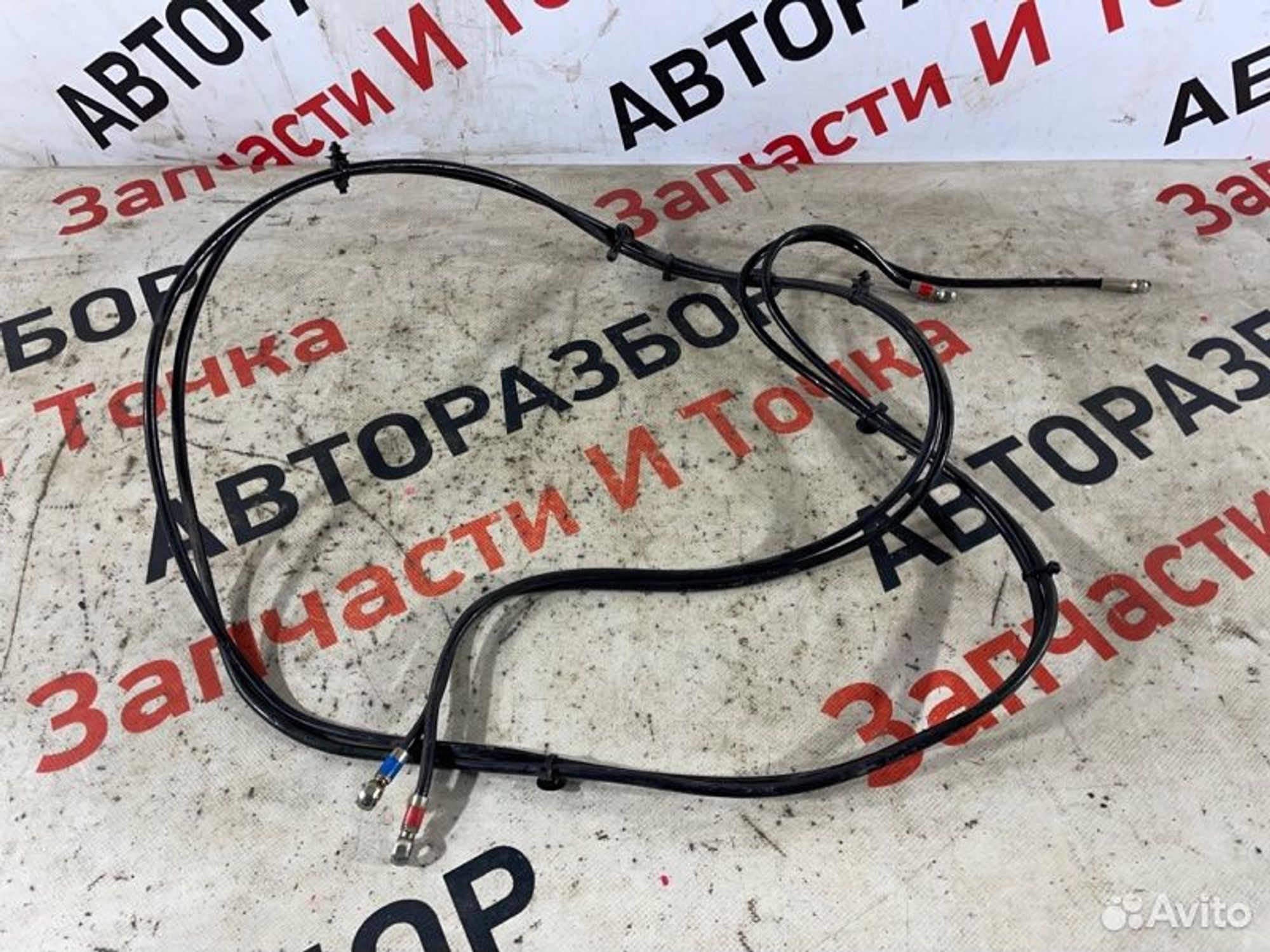https://gcs.partsauto.market/rn-stockpro.appspot.com/thmbs/afb38d96ab8c9795ecac00e406b21163/86cb7ca329e0411763a148590e04351f/4af253038d8d584013c4e38bfdf6be0f.jpg