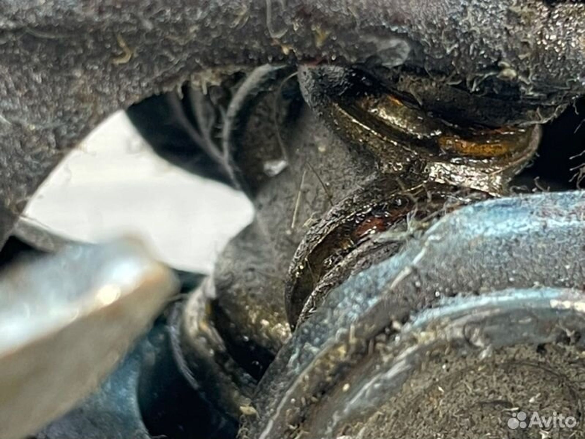 https://gcs.partsauto.market/rn-stockpro.appspot.com/thmbs/afb38d96ab8c9795ecac00e406b21163/924f98600ba5e7af3140d45eae89a4c1/0dd5824d5afa4d77dbe678232f1265dc.jpg