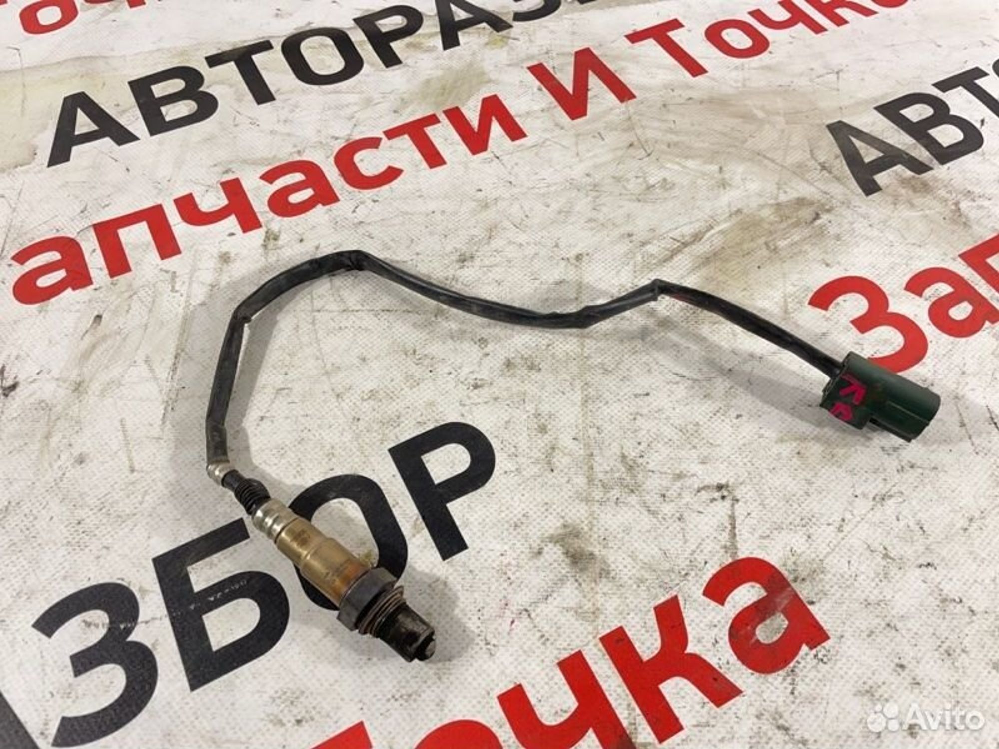 https://gcs.partsauto.market/rn-stockpro.appspot.com/thmbs/afb38d96ab8c9795ecac00e406b21163/9c9189dbd5f341e01c20554397dc244e/ffefa7c889c07b70c0c503582b227272.jpg