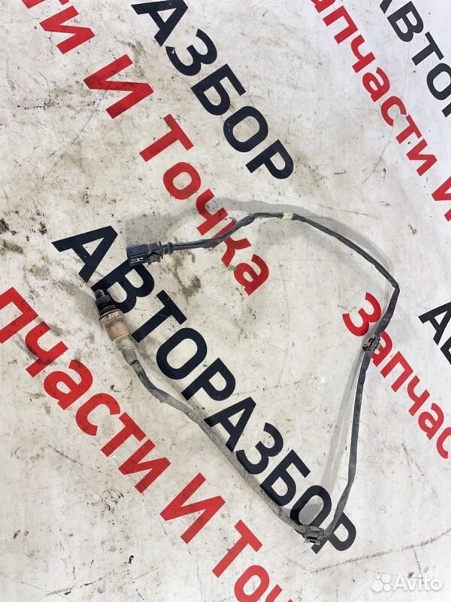 https://gcs.partsauto.market/rn-stockpro.appspot.com/thmbs/afb38d96ab8c9795ecac00e406b21163/b5d0bdc7fa34ddbcd79e7bd6a5b3b3b0/1f2f9c42a56c7165c5e1e98c41802767.jpg