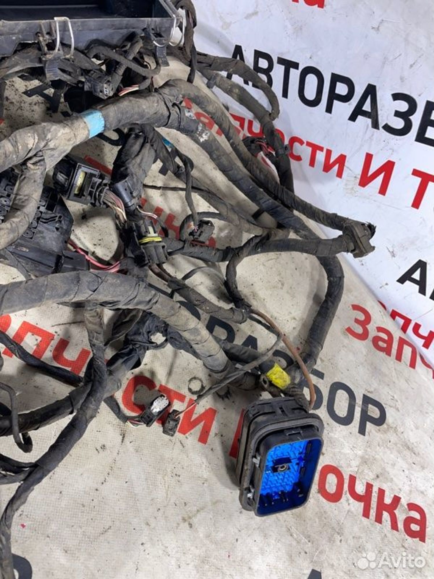 https://gcs.partsauto.market/rn-stockpro.appspot.com/thmbs/afb38d96ab8c9795ecac00e406b21163/bd0d2b1bd39184da19cd58413b61fb3b/881211ba781459cef6614293935f342e.jpg