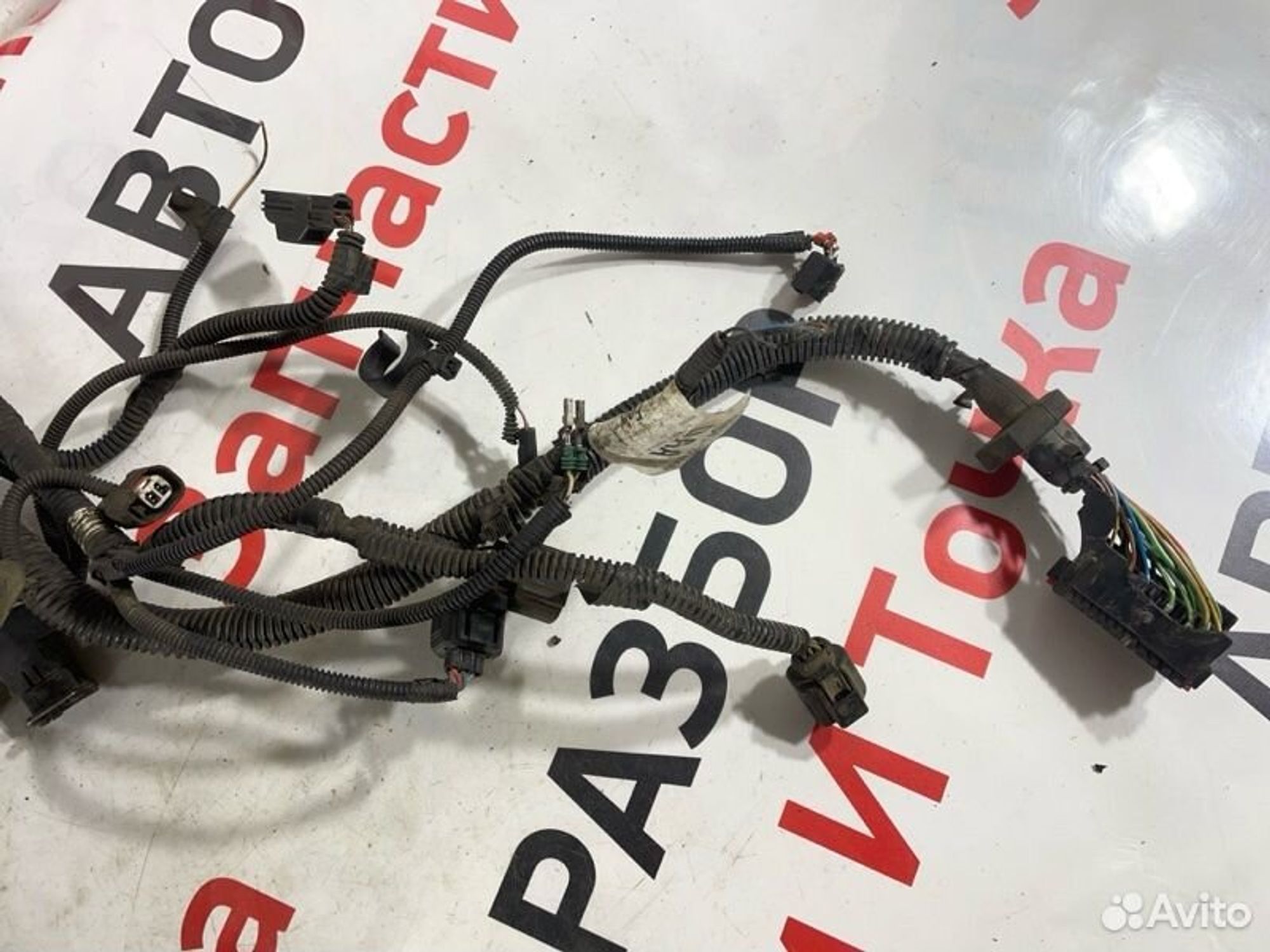 https://gcs.partsauto.market/rn-stockpro.appspot.com/thmbs/afb38d96ab8c9795ecac00e406b21163/cb36e151d93371ff67903acf232554fe/fe3b6ab2da53f2cf3b04da9d44308368.jpg