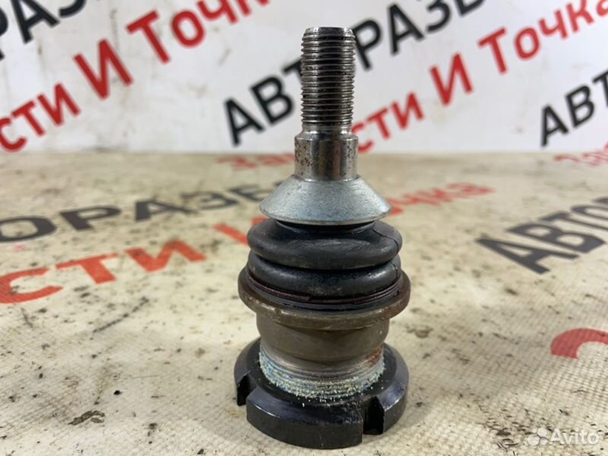 https://gcs.partsauto.market/rn-stockpro.appspot.com/thmbs/afb38d96ab8c9795ecac00e406b21163/e908dcefd4c99ba9d536e0f884cda603/30d8b3ad7263b1b1f3969f05573ddebe.jpg