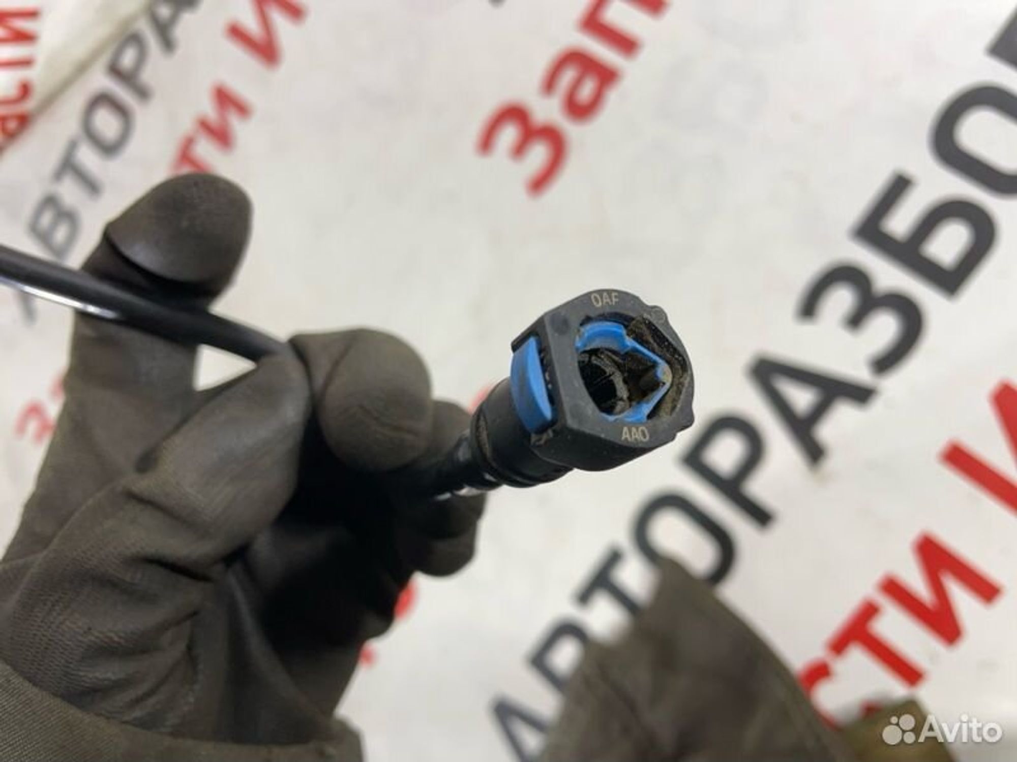 https://gcs.partsauto.market/rn-stockpro.appspot.com/thmbs/afb38d96ab8c9795ecac00e406b21163/f822af5e492565c7d7e2bc9aa4e589b1/044da9151ae5bfb859781e6a7887059e.jpg