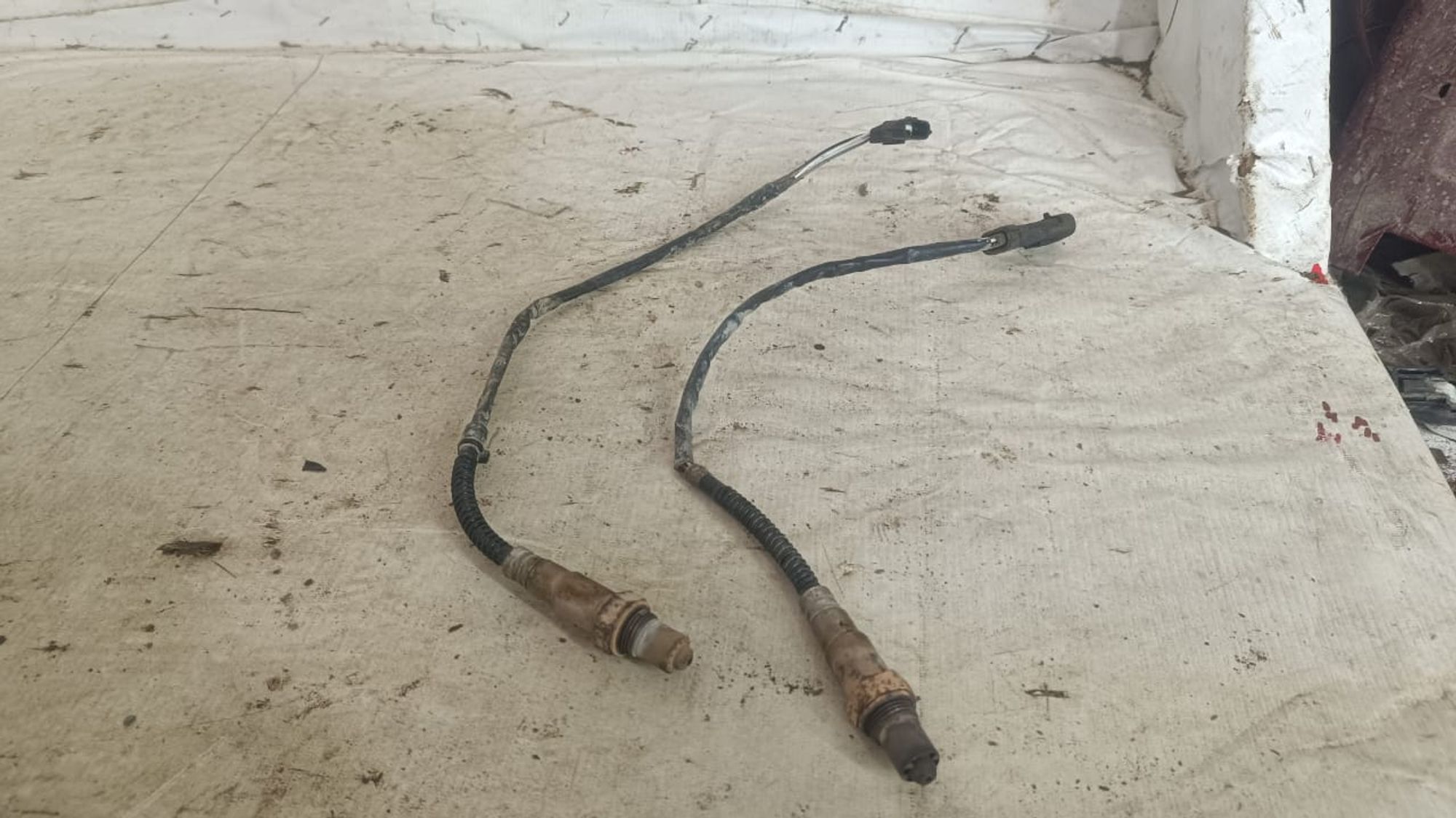 https://gcs.partsauto.market/rn-stockpro.appspot.com/thmbs/userImages/72ad5fba4727bffbc6ea9a8c61494201/part/cc6a63b4-fecd-4050-a61c-2ed544cda4c7_1742927252388.jpg