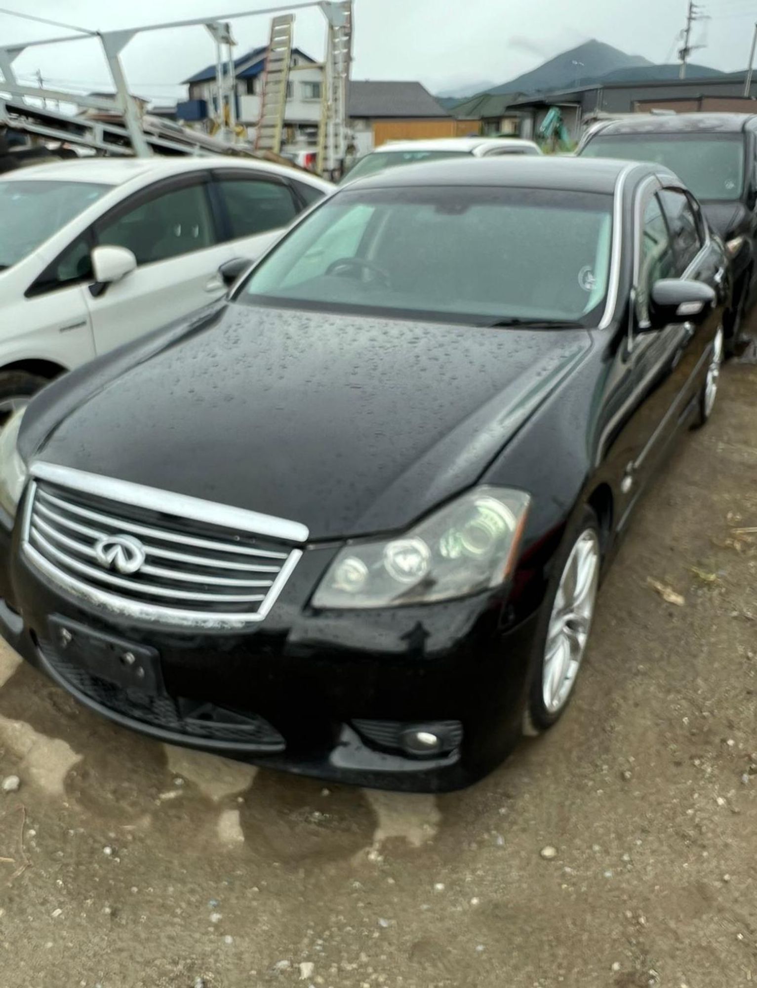 Nissan Fuga I 2008