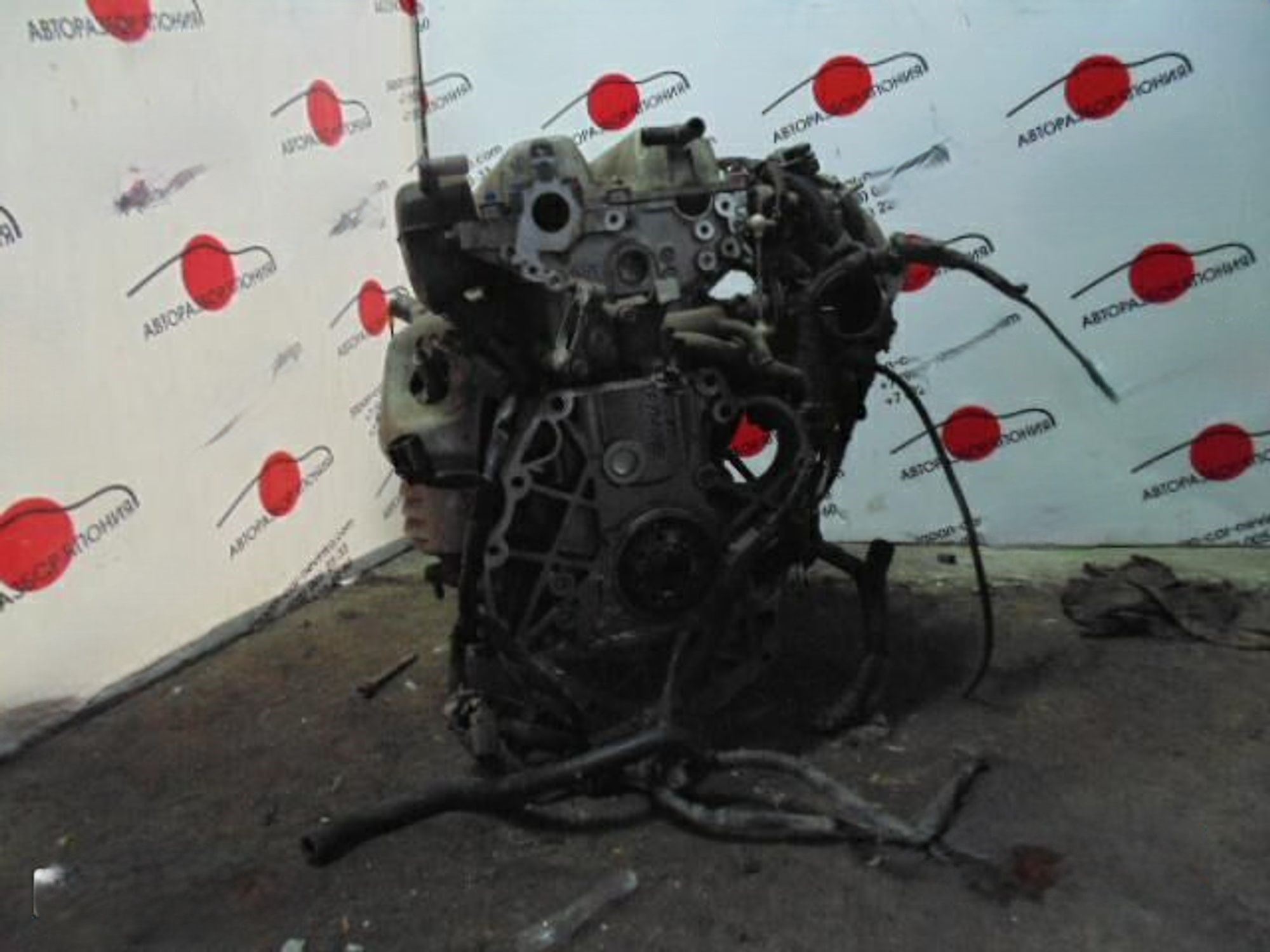 https://gcs.partsauto.market/rn-stockpro.appspot.com/thmbs/userImages/772e461030aea93f4dbb6447c0f924d3/part/7f561ea2-20b4-4840-86c8-b5773891842a_1741176516511.jpg