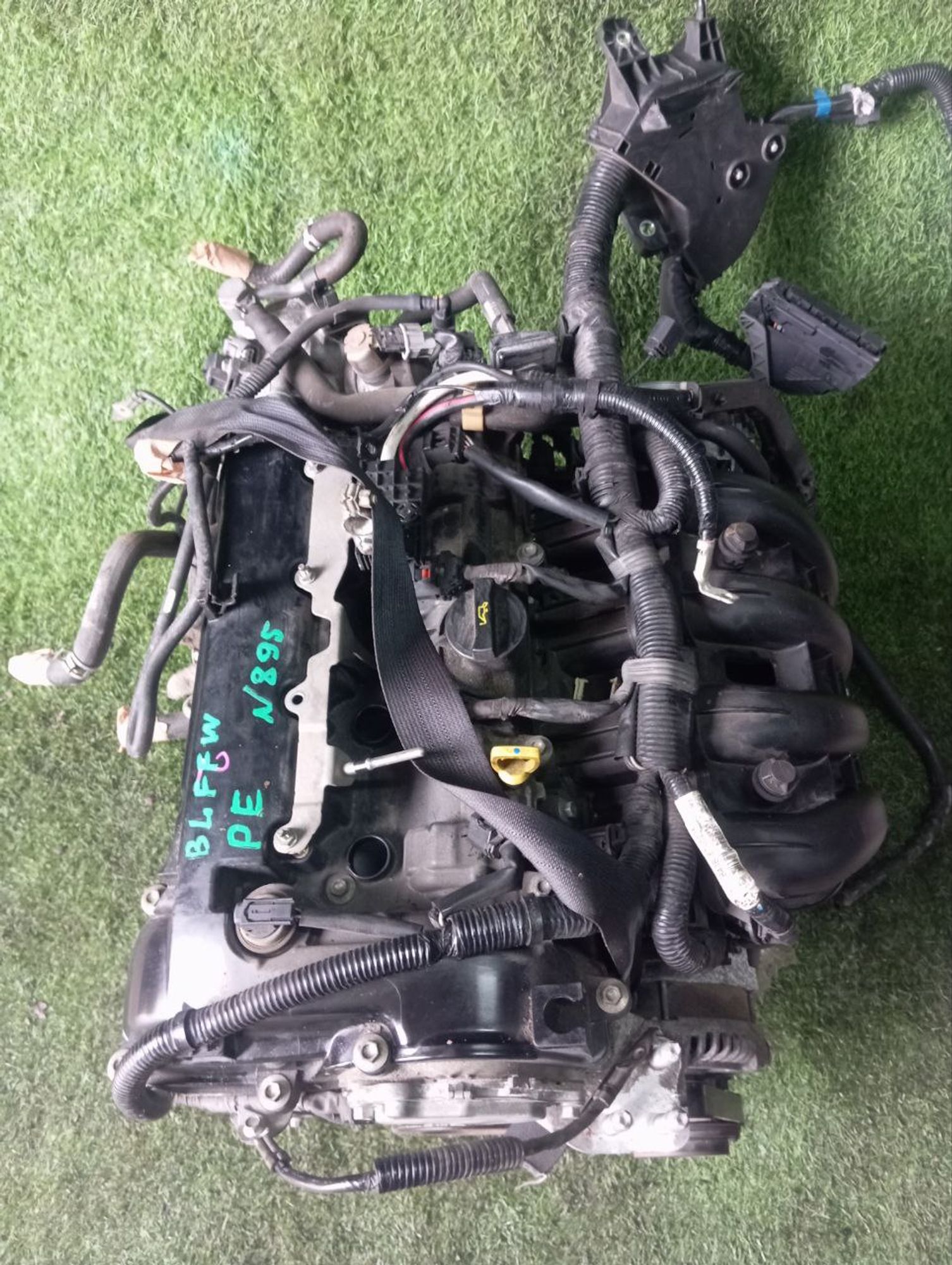 895 Двигатель Mazda Axela BLFFW PE
