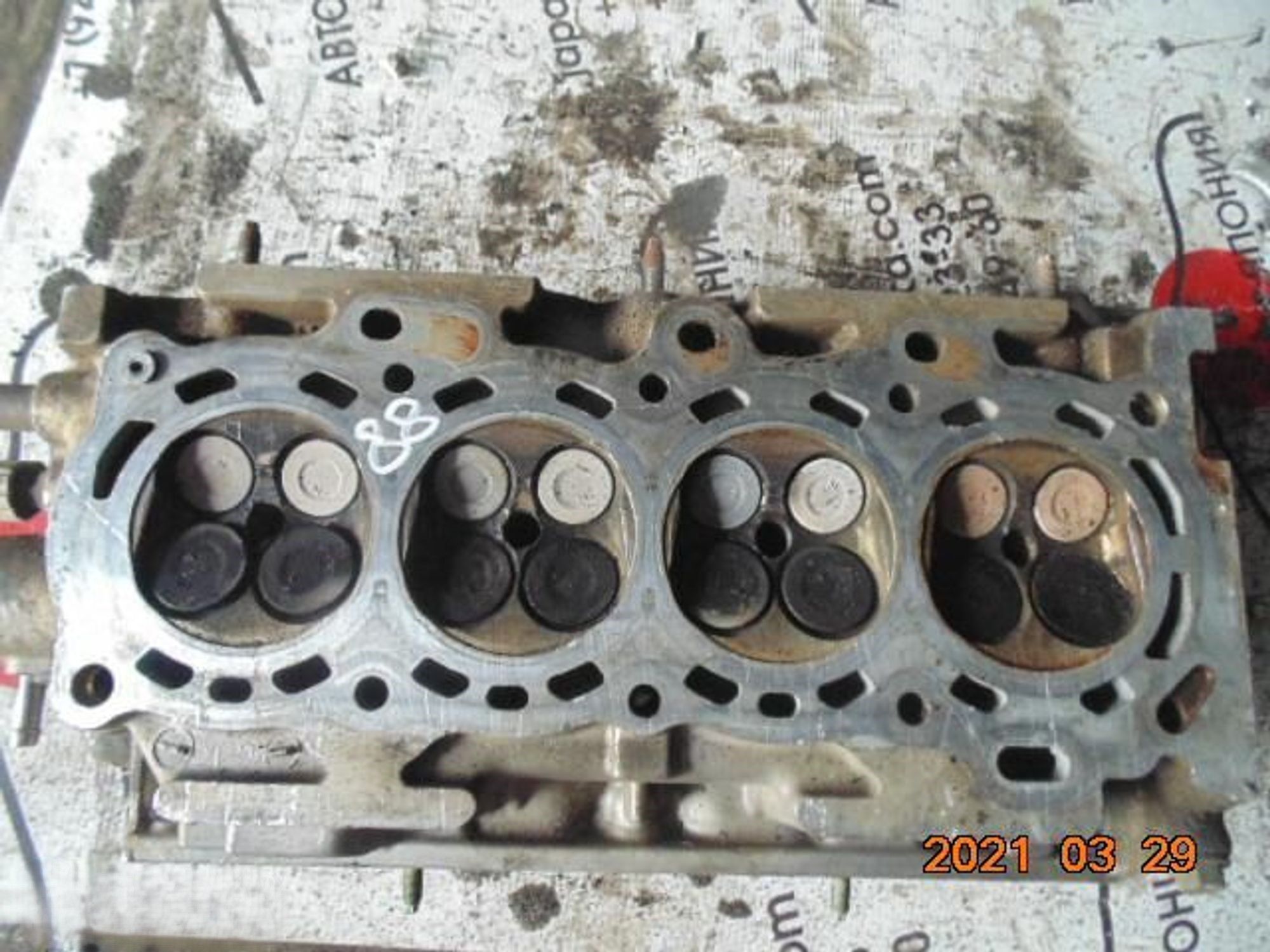 https://gcs.partsauto.market/rn-stockpro.appspot.com/thmbs/userImages/772e461030aea93f4dbb6447c0f924d3/part/f2389131-9318-4716-9c58-3086d1601ed7_1741084907805.jpg