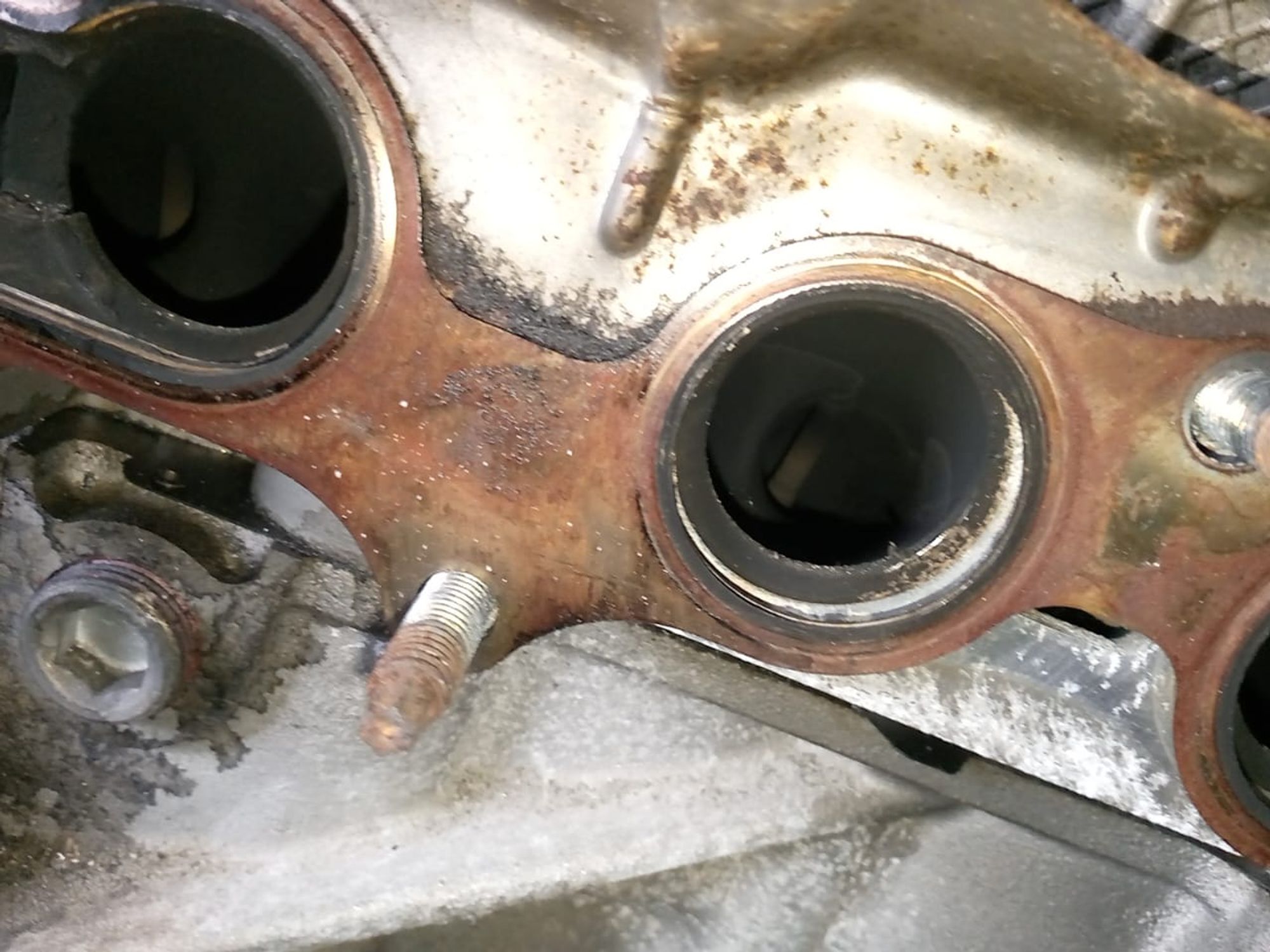 https://gcs.partsauto.market/rn-stockpro.appspot.com/thmbs/userImages/a486c87f8955b6e25f9185efee619899/part/4624df8a-0283-4304-a415-0f45ed63d964_1748003958886.jpg