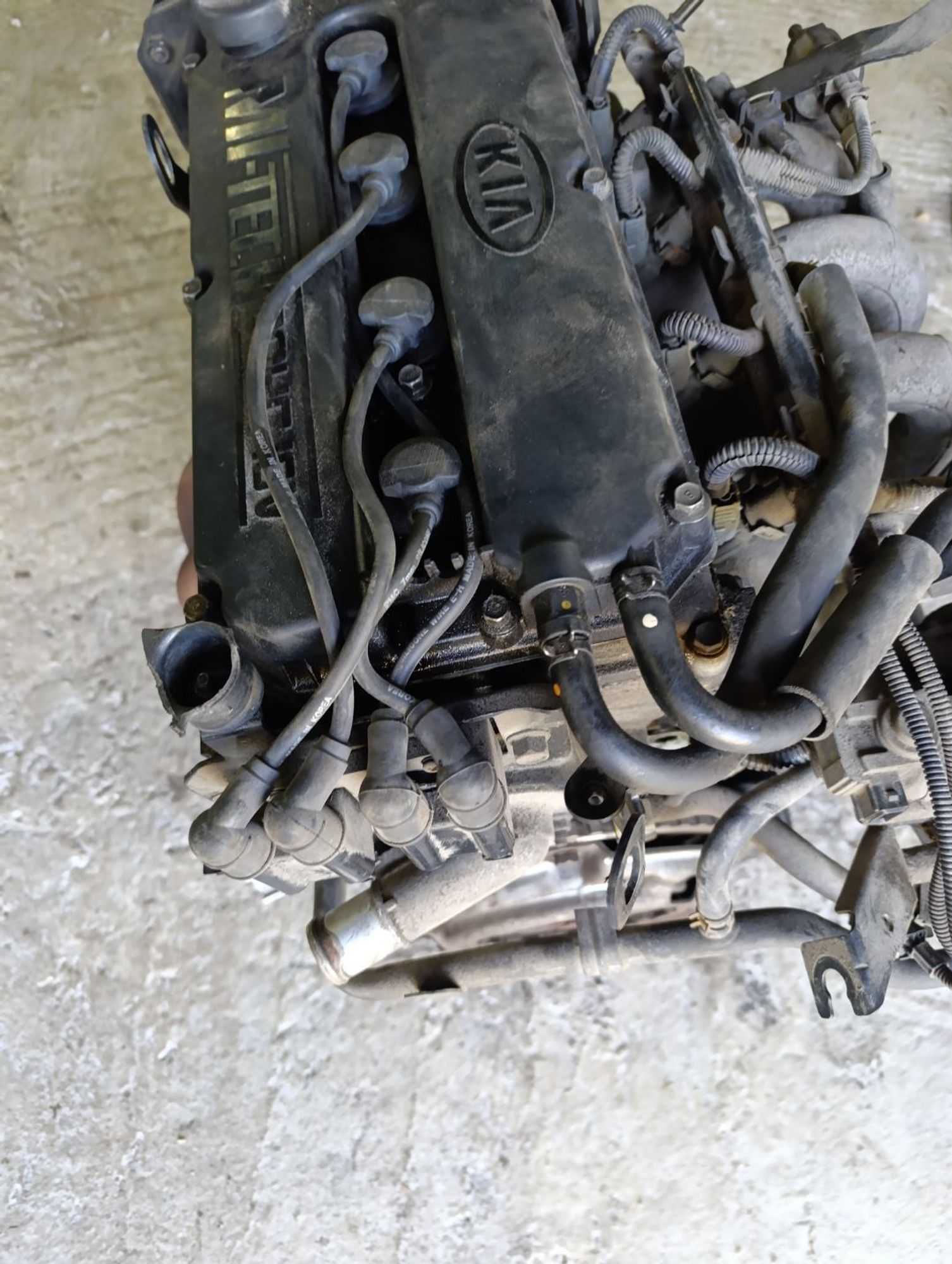 https://gcs.partsauto.market/rn-stockpro.appspot.com/thmbs/userImages/cca1856e256b5441544f9aba03b424a6/part/00ed9182-fea3-45ee-82d9-54ca68258901_1748700593980.jpg