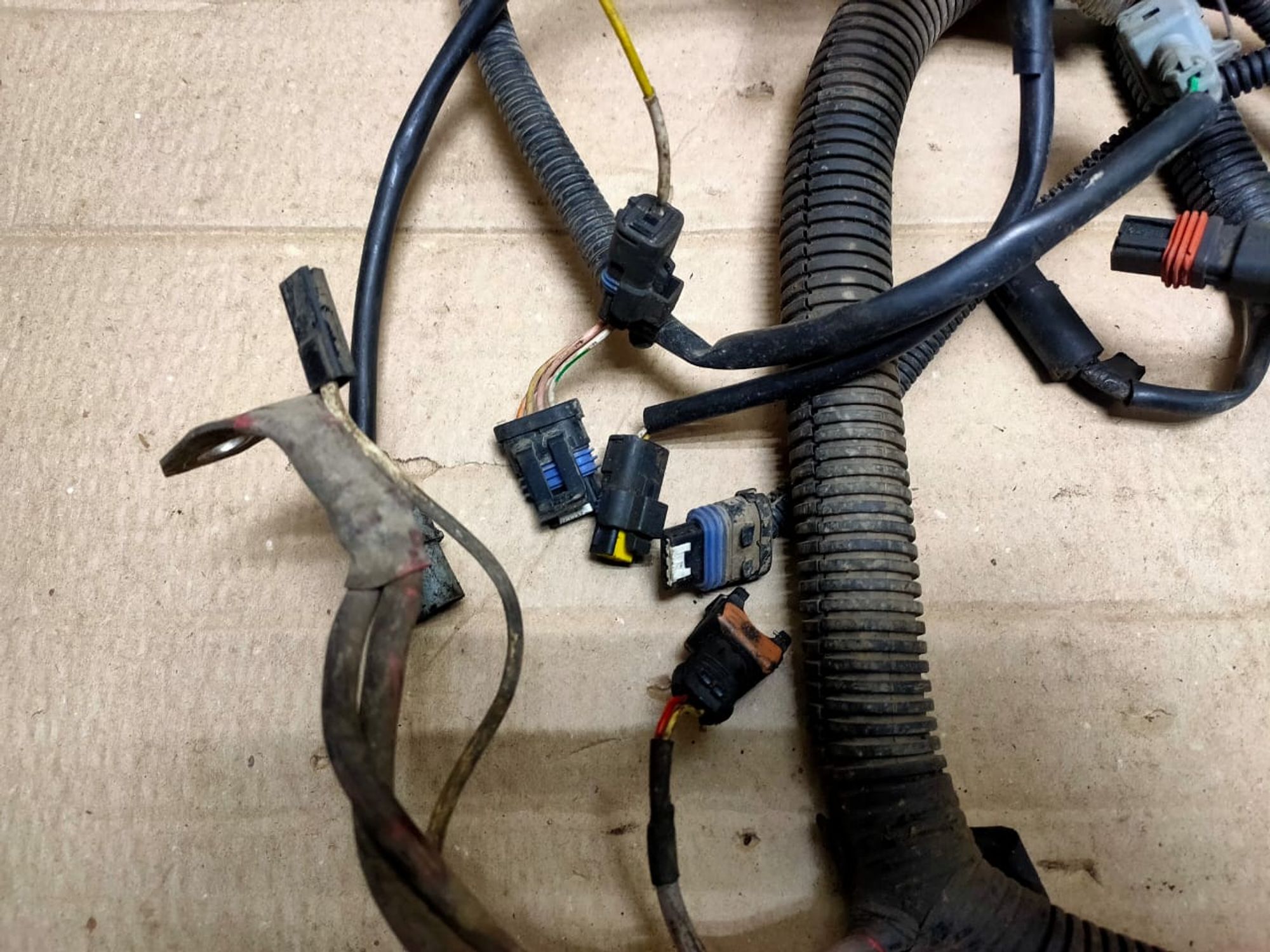 https://gcs.partsauto.market/rn-stockpro.appspot.com/thmbs/userImages/d89d66a30f14dbad161fb7a986aa0fe5/part/1216113a-2e4b-45f5-86fe-1d96038213e3_1748944468263.jpg