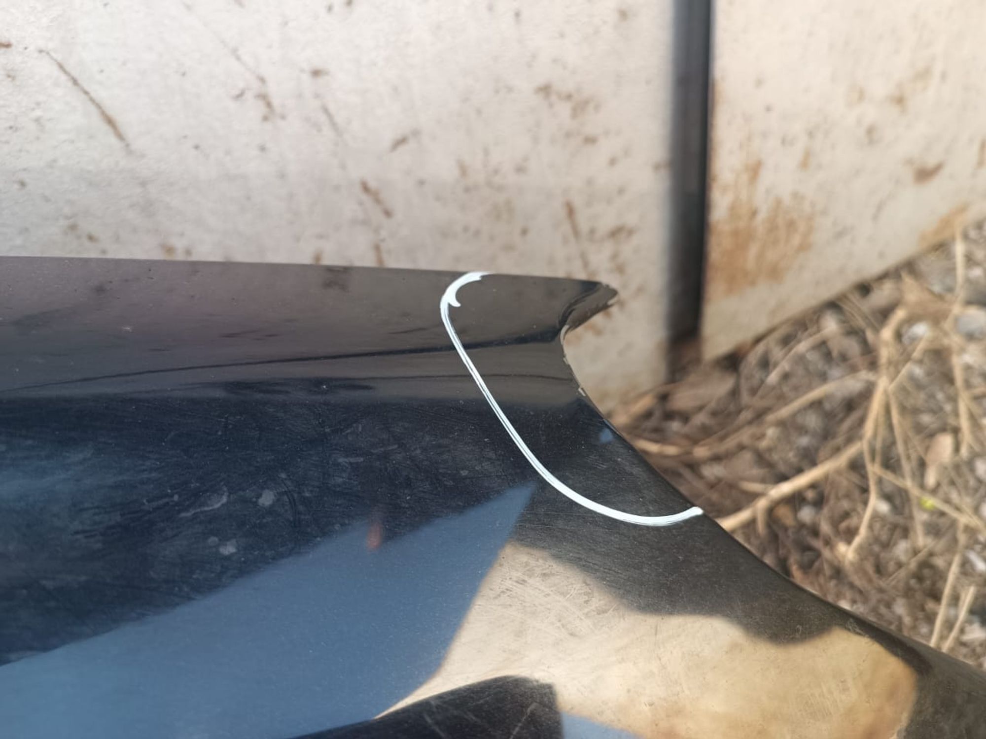 https://gcs.partsauto.market/rn-stockpro.appspot.com/thmbs/userImages/d89d66a30f14dbad161fb7a986aa0fe5/part/f5a2614f-cd2b-4712-b9c0-8389844b7889_1743576739449.jpg