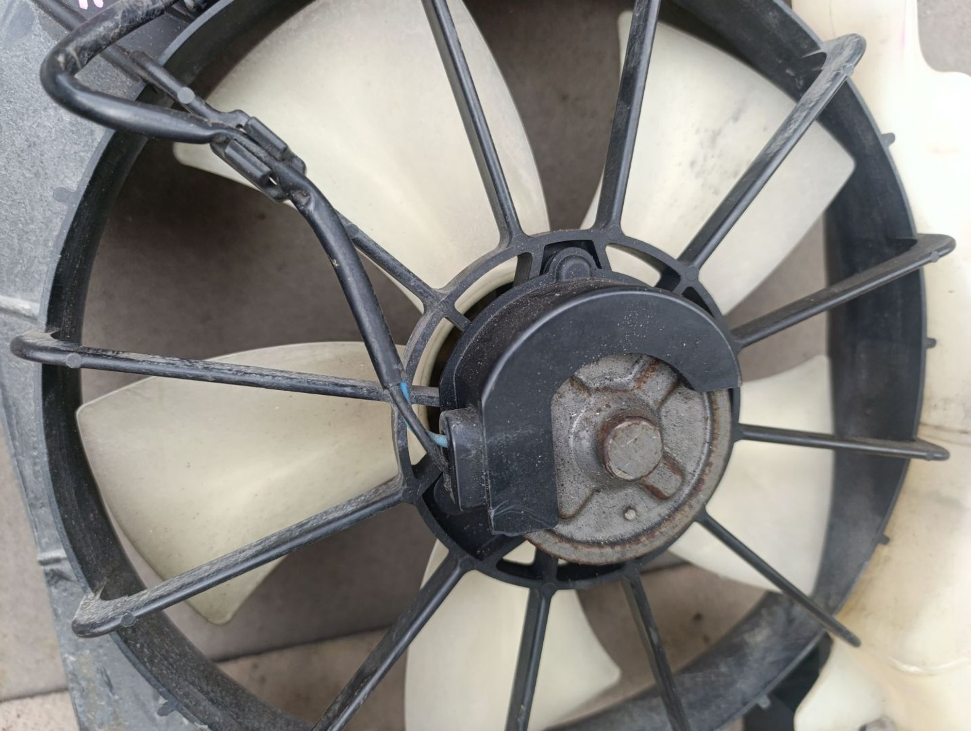 https://gcs.partsauto.market/rn-stockpro.appspot.com/thmbs/userImages/d9b05010c61782443e0b3e264cf05921/part/66d5f646-448f-4235-acfa-b5bcfc7cf454_1748868739338.jpg