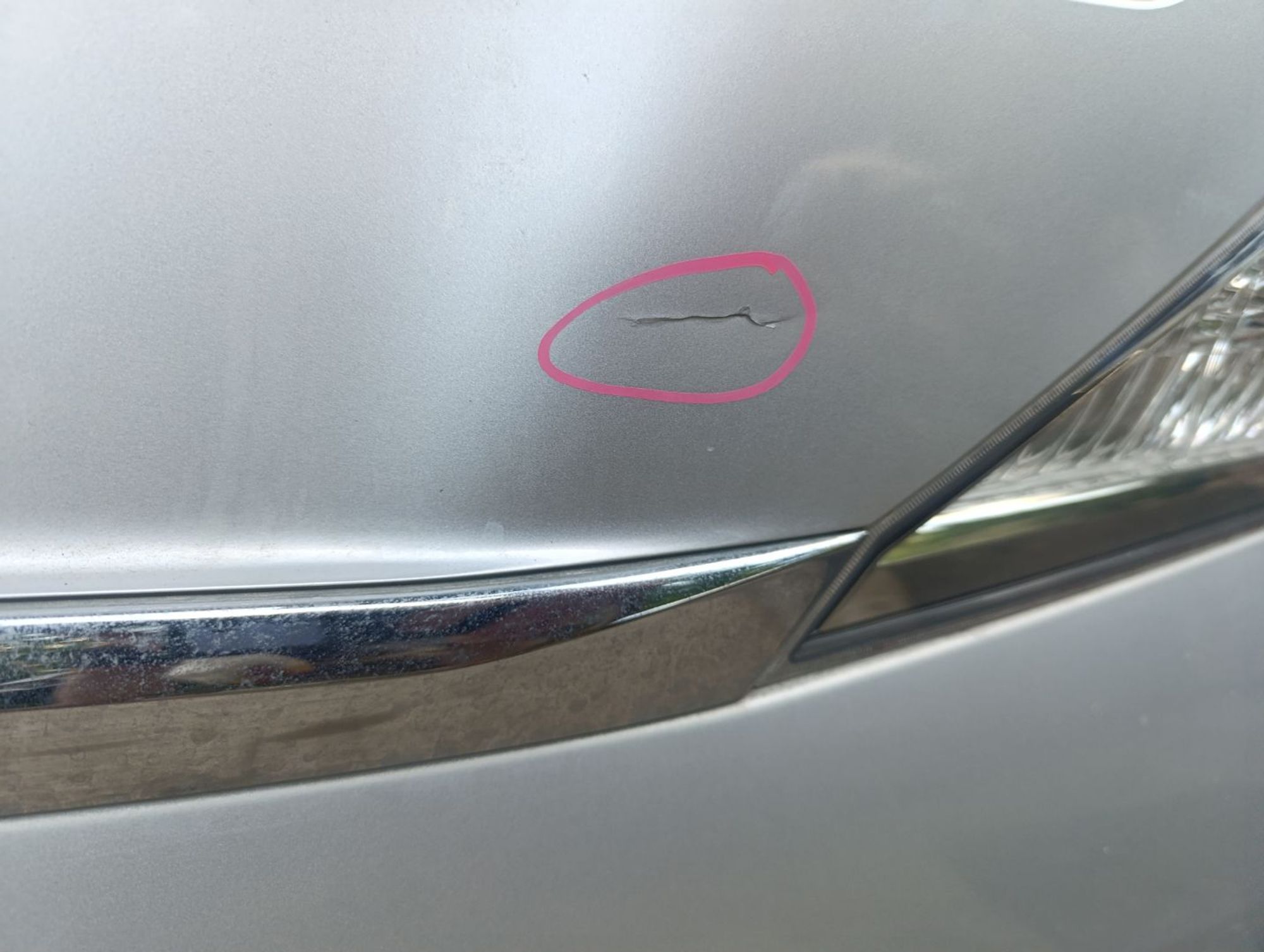 https://gcs.partsauto.market/rn-stockpro.appspot.com/thmbs/userImages/d9b05010c61782443e0b3e264cf05921/part/69562c1f-328b-4461-927c-7765cae2c99c_1749561861854.jpg