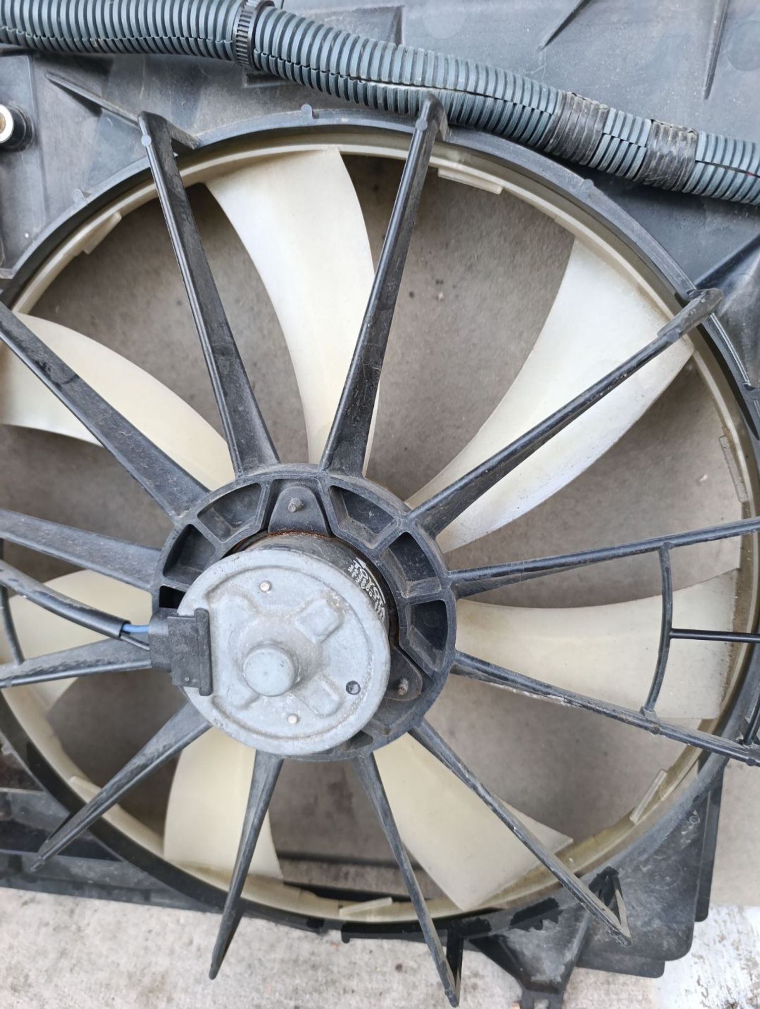 https://gcs.partsauto.market/rn-stockpro.appspot.com/thmbs/userImages/d9b05010c61782443e0b3e264cf05921/part/9d7dba92-1f3f-4fbc-b047-27d27ccb1f76_1748965202725.jpg