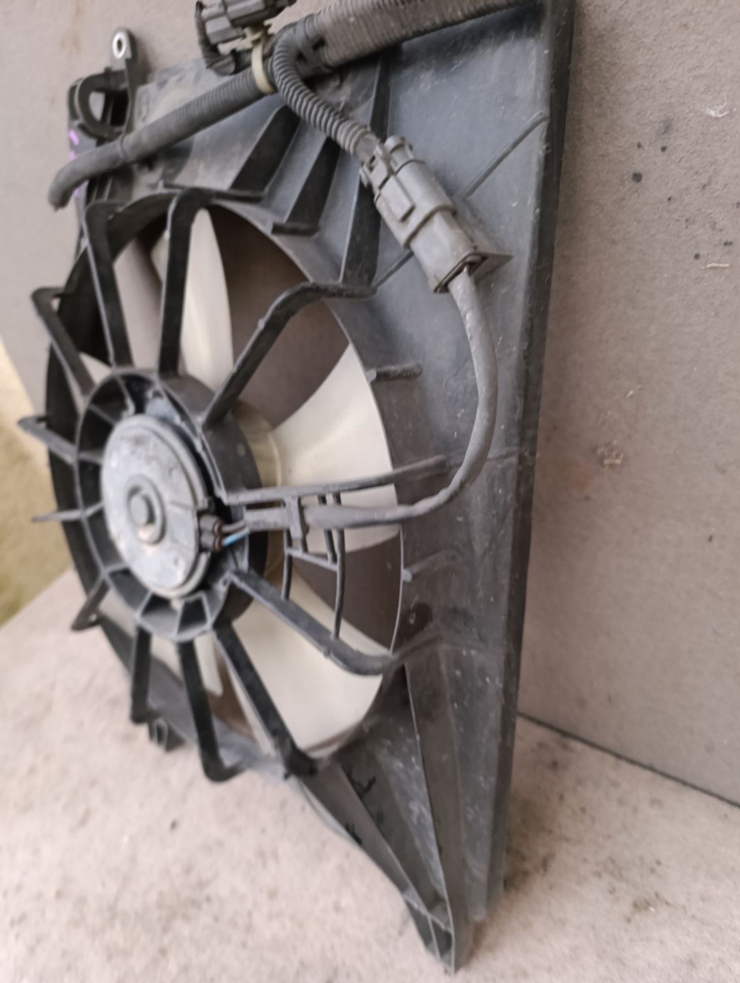 https://gcs.partsauto.market/rn-stockpro.appspot.com/thmbs/userImages/d9b05010c61782443e0b3e264cf05921/part/dbce5003-6a08-46ae-870d-3e75695bbc7b_1748796980635.jpg