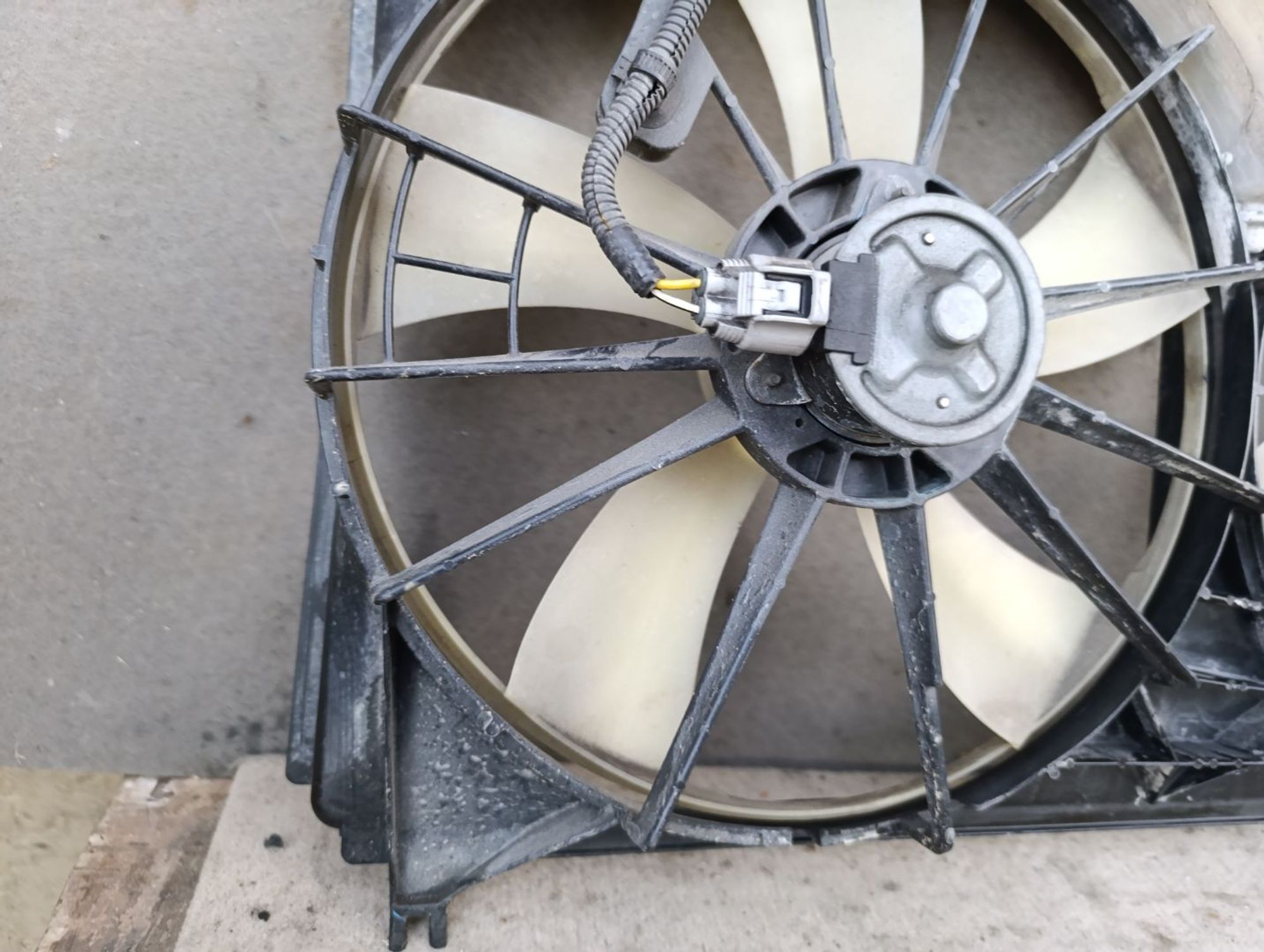 https://gcs.partsauto.market/rn-stockpro.appspot.com/thmbs/userImages/d9b05010c61782443e0b3e264cf05921/part/fc84b721-9327-4d31-b01a-054c56a1b153_1748964949170.jpg